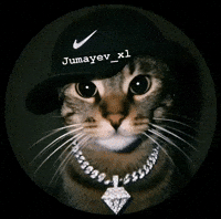 Cat Uzbek GIF