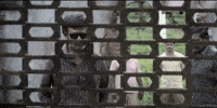 Superstar Rajinikanth Thalaivar GIF by RajiniGifs