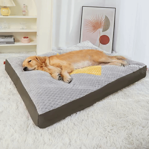 Chien heureux dans HugPuff™ panier donut