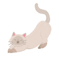 cat stretch Sticker