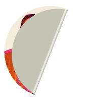 Music Festival Alok Sticker by Global Citizen