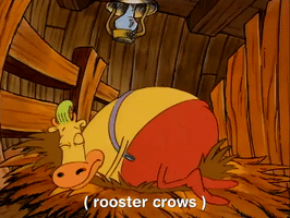 rockos modern life nicksplat GIF