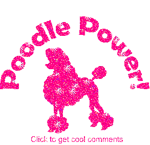 poodle STICKER by Kate