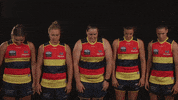 australian football league sport GIF by Adelaide Crows