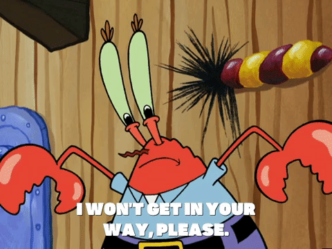 season 5 new digs GIF by SpongeBob SquarePants