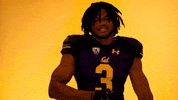 Golden Bears Football GIF by Cal Athletics