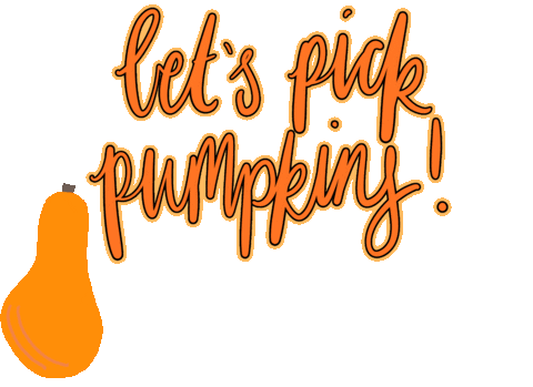 Pumpkin Newfallz Sticker by zoellabeauty