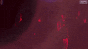 Broadway A Capella GIF by TRESC