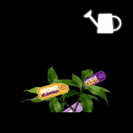 Black Friday Delivery GIF by aiqfome