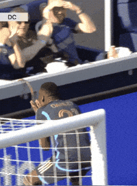 Philadelphia Union Love GIF by Major League Soccer