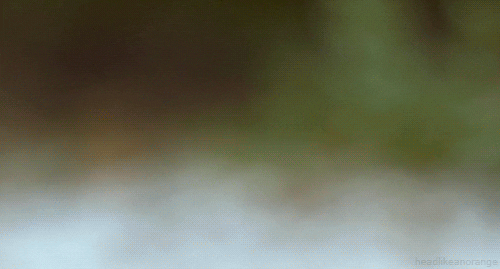 passing by oh hello GIF