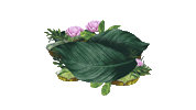 lux_ lux luxbotanicals essenciasdobrasil Sticker