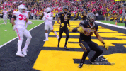 hawks GIF by University of Iowa Hawkeyes Athletics