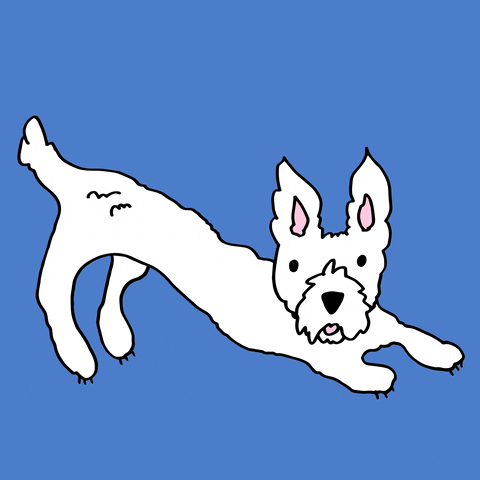 onedowndog giphyupload dog mascot tail GIF