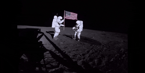dustuncan giphyupload GIF