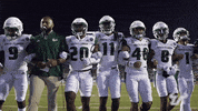 College Football GIF by USF Athletics