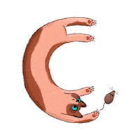 Soniailustra art cat drawing arte Sticker