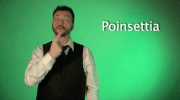 sign language poinsettia GIF by Sign with Robert