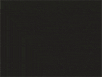 steve o jackass GIF