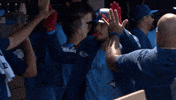 Celebrate Blue Jays GIF by Toronto Blue Jays