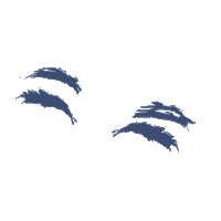 Makeup Wink Sticker by Kilda Beauty