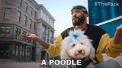 The Pack Dogs GIF by Amazon Prime Video