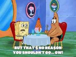 season 6 GIF by SpongeBob SquarePants