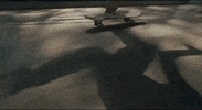 GIF by SKATE KITCHEN