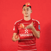 Soccer Bundesliga GIF by Fortuna Düsseldorf