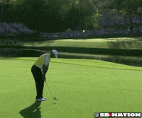 tiger woods GIF by SB Nation