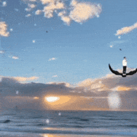 Water Beach GIF