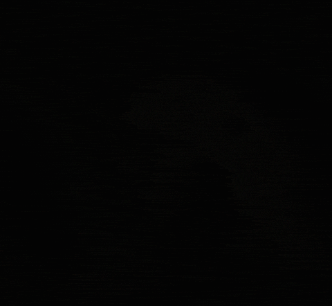GigaVillager giphygifmaker dog small dog holding small dog GIF