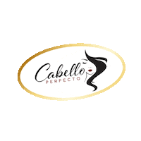 Hair Houston Sticker by Cabello Perfecto