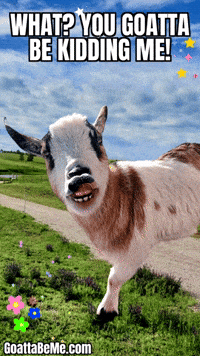 No Way Seriously GIF by Goatta Be Me Goats! Adventures of Java, Toffee, Pumpkin and Cookie!