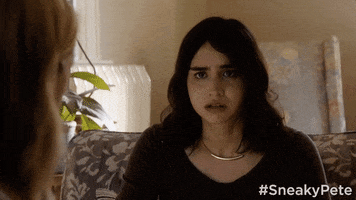 season 1 GIF by Sneaky Pete