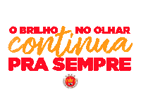 Carnaval Samba Sticker by Unidos do Viradouro