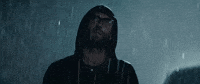 maroon5 animals maroon 5 GIF