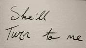 lyric video sweet music GIF by Hozier