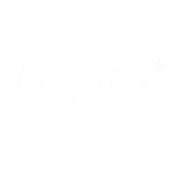 Car Impact Sticker by impactcollision