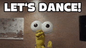 SaschaGrammel dance tanzen feiern freude GIF