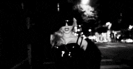 Hollywood Starlet GIF by Slayyyter