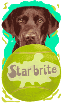 Labrador Retriever Dog GIF by Star brite