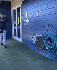 Ny Yankees Hello GIF by Jomboy Media