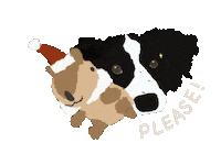 Dog Please Sticker