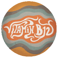 PuckySpaceAge retro trippy psychedelic vintage Sticker