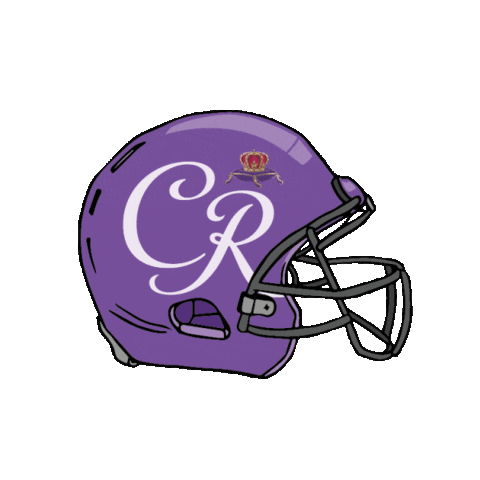 crownroyal giphyupload sports football game Sticker