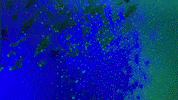 Glowing Climate Change GIF by Mollie_serena