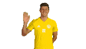 football soccer Sticker by 1. fotbalová liga