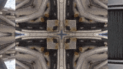 Art Film GIF by jorgemariozuleta