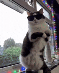 Mr Bean Dancing GIF